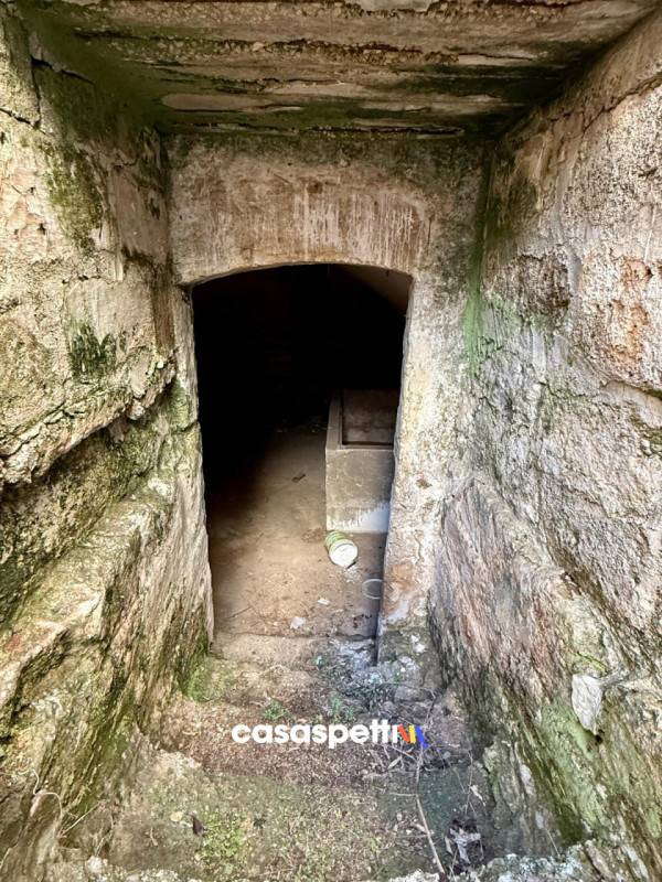 immagine annuncio 7 di 9
