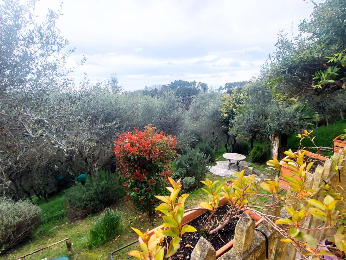 immagine annuncio 7 di 15