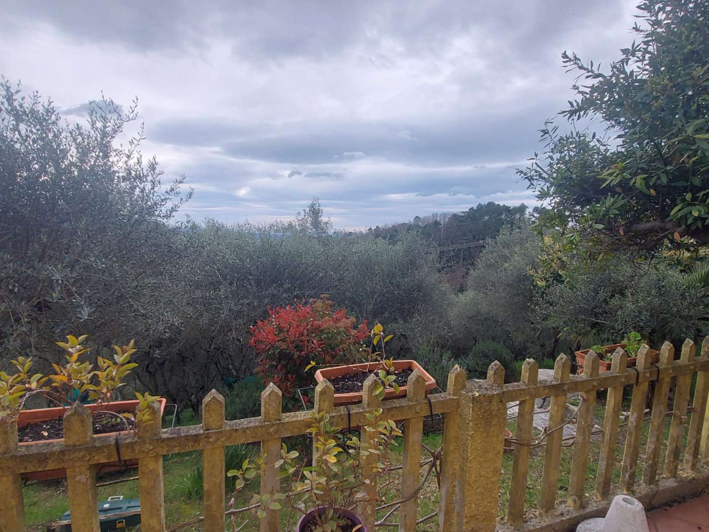 immagine annuncio 10 di 15
