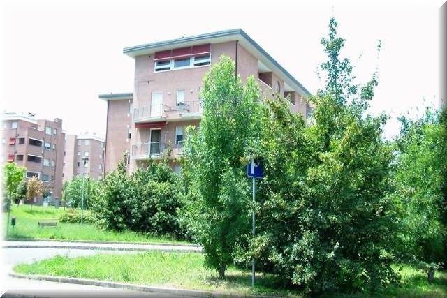  - foto 13