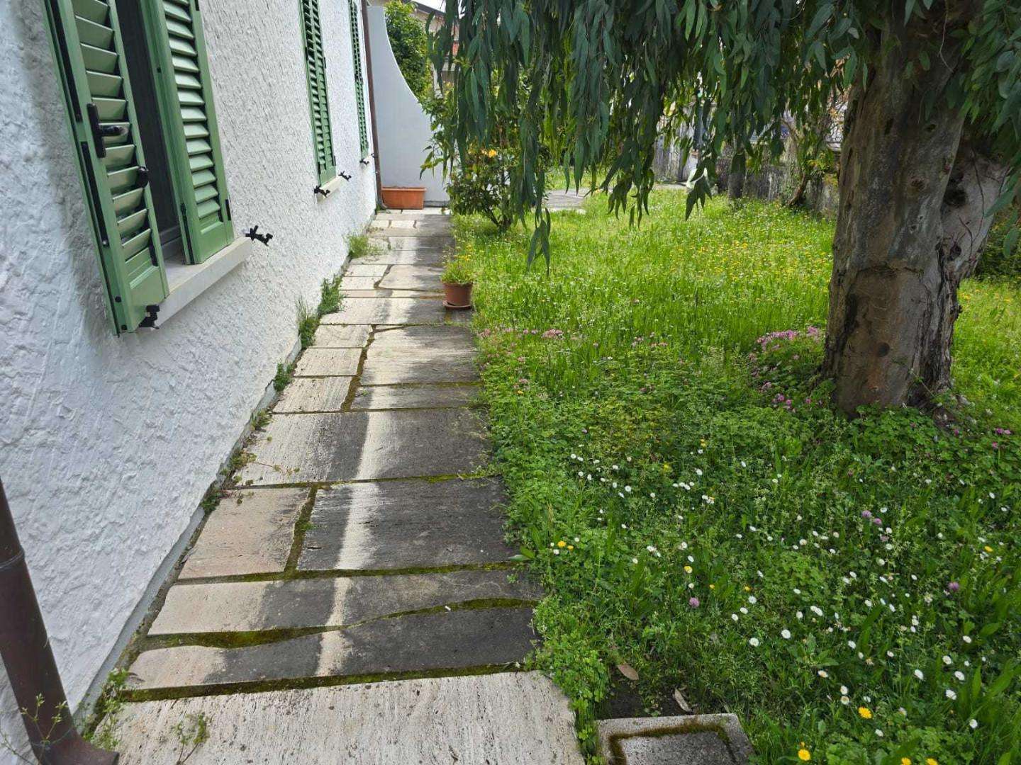  - foto 7