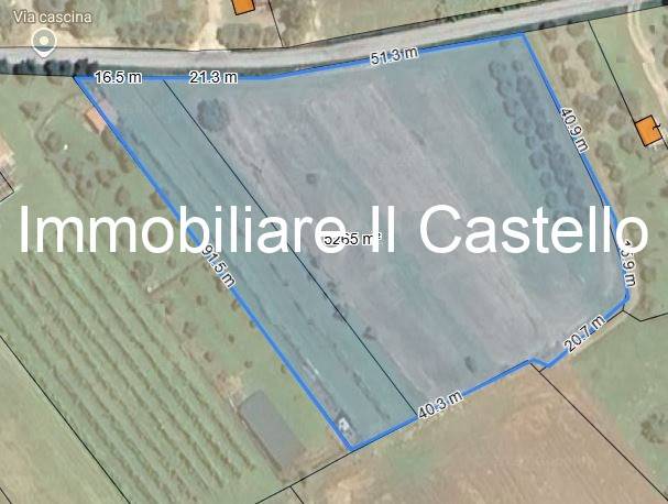 immagine annuncio 3 di 6