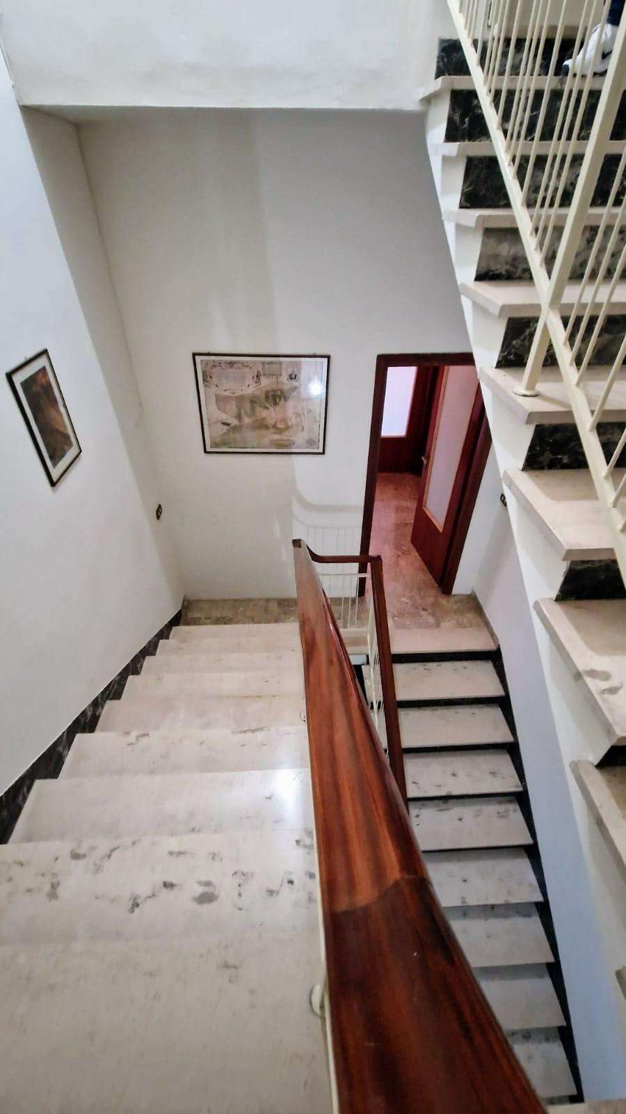  - foto 23