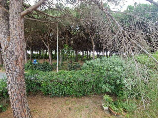  - foto 8