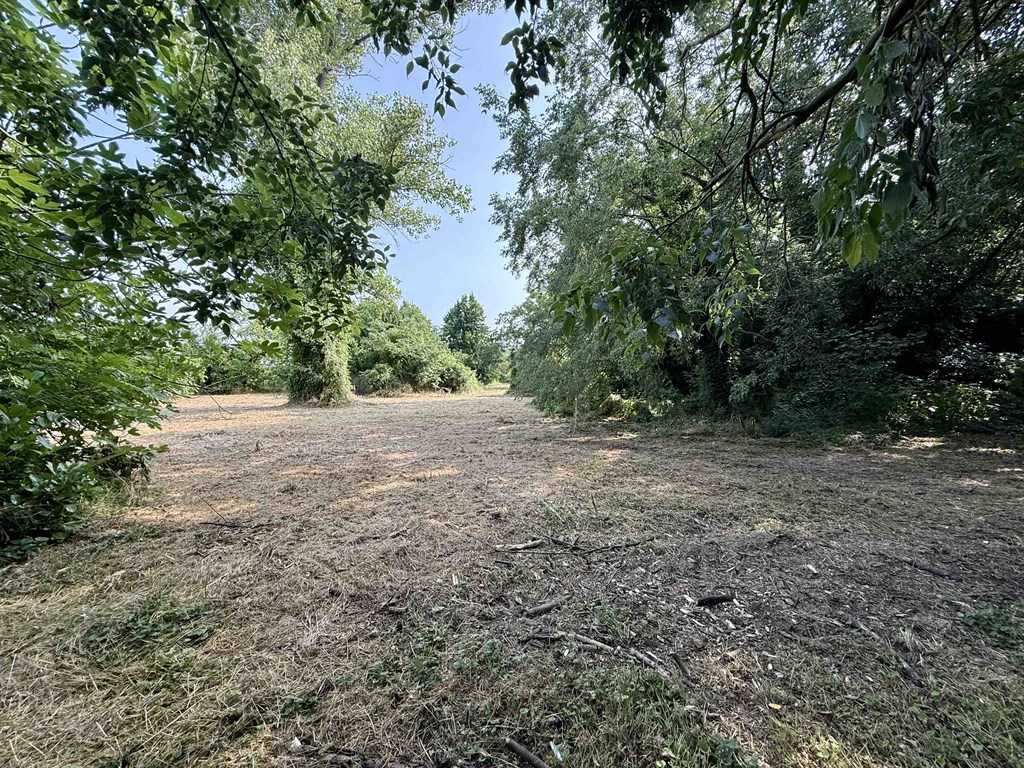  - foto 11