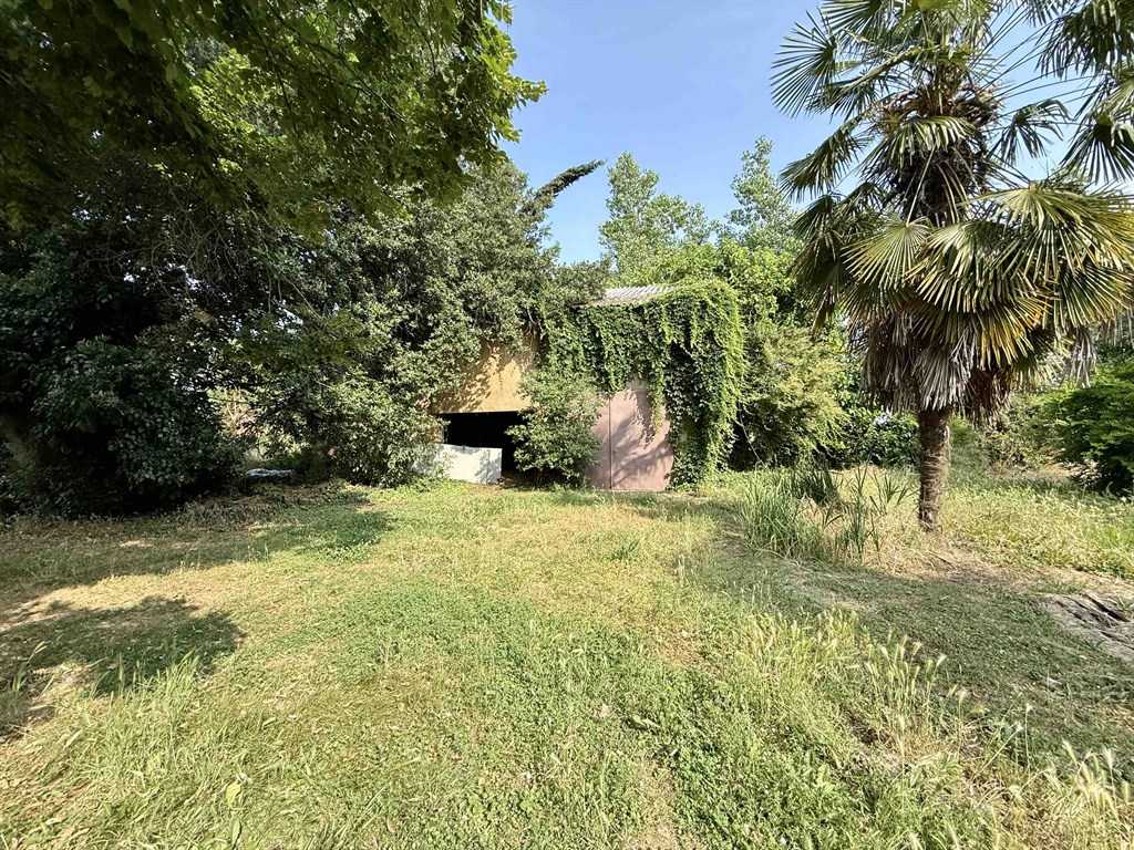  - foto 12