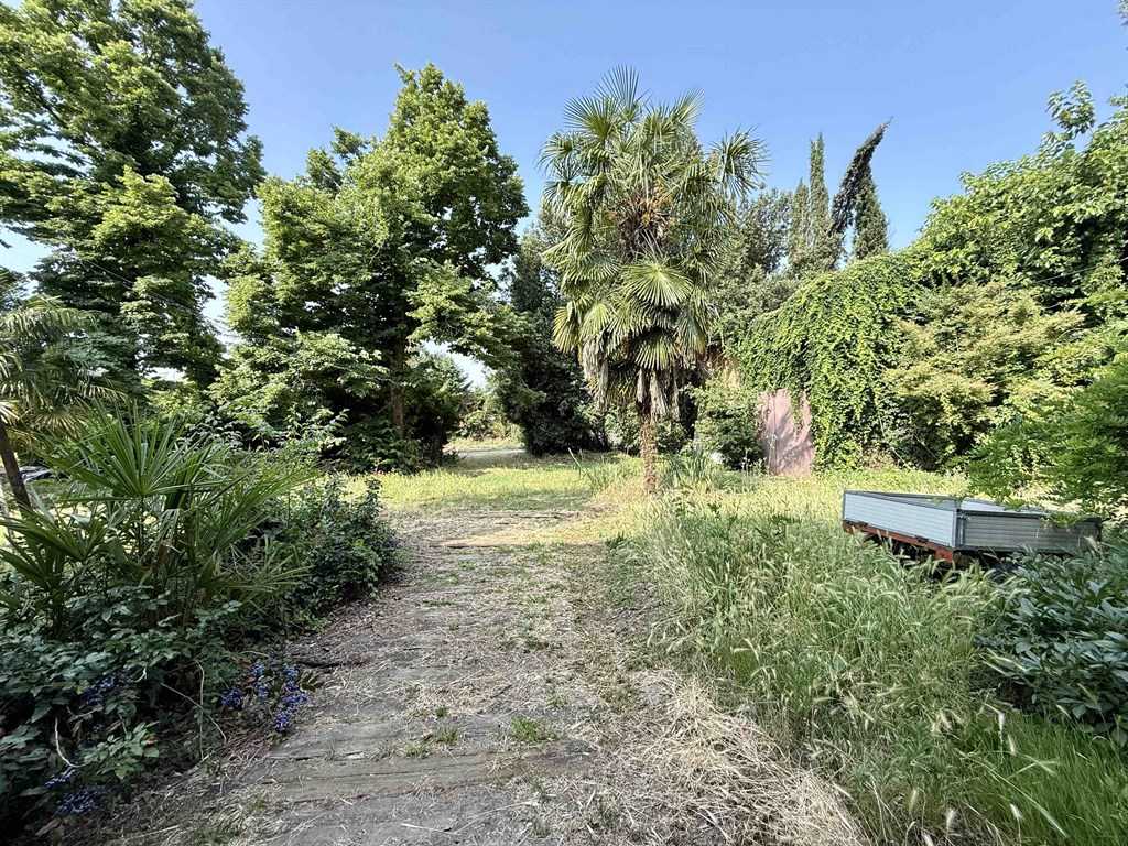  - foto 13