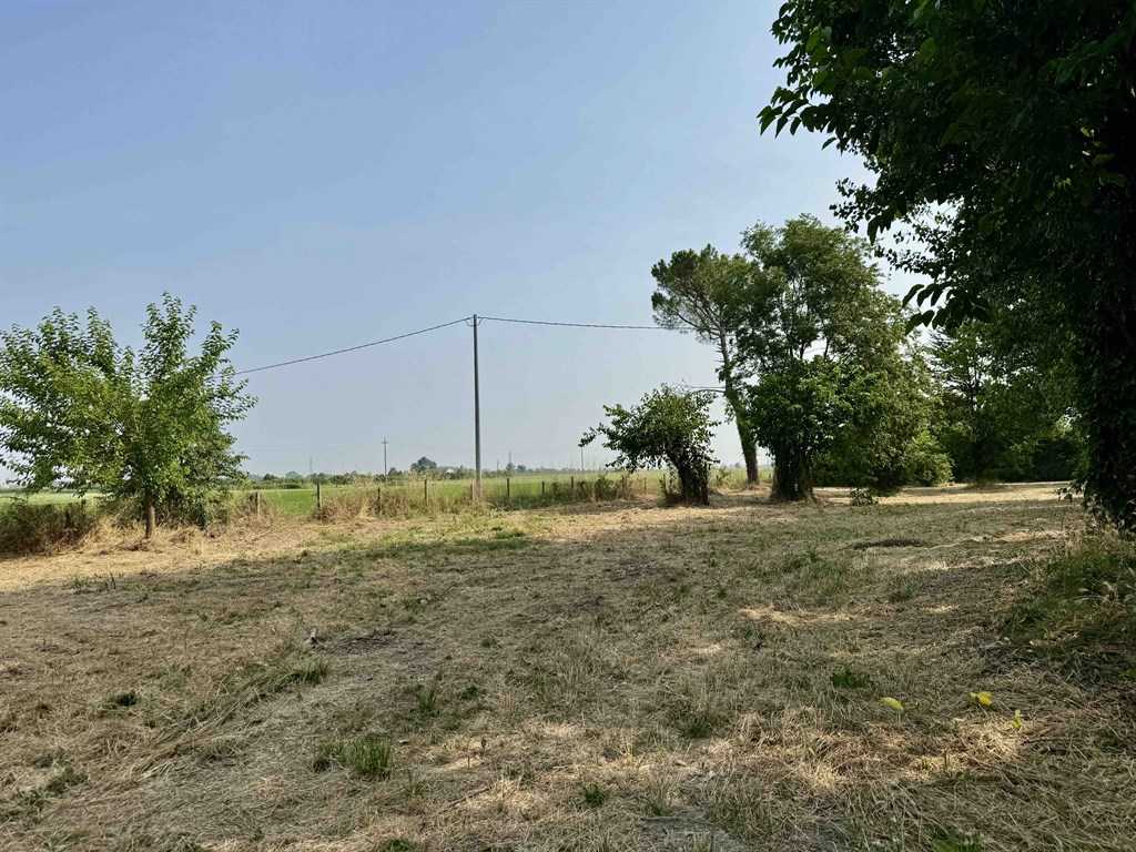  - foto 14