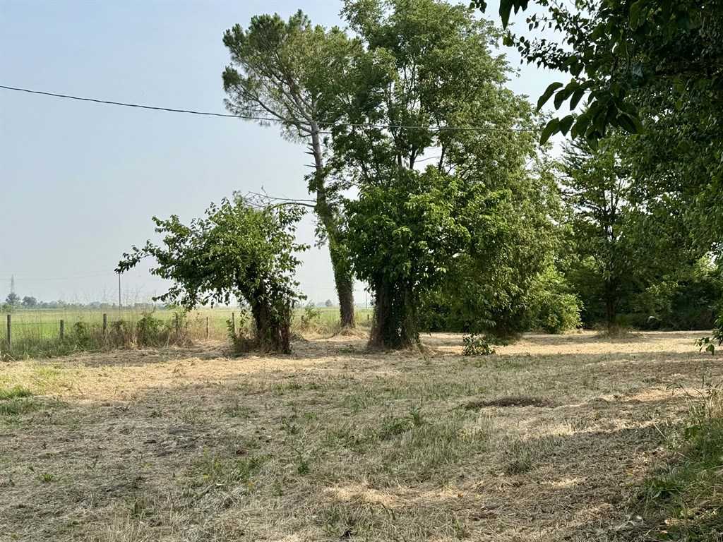  - foto 15