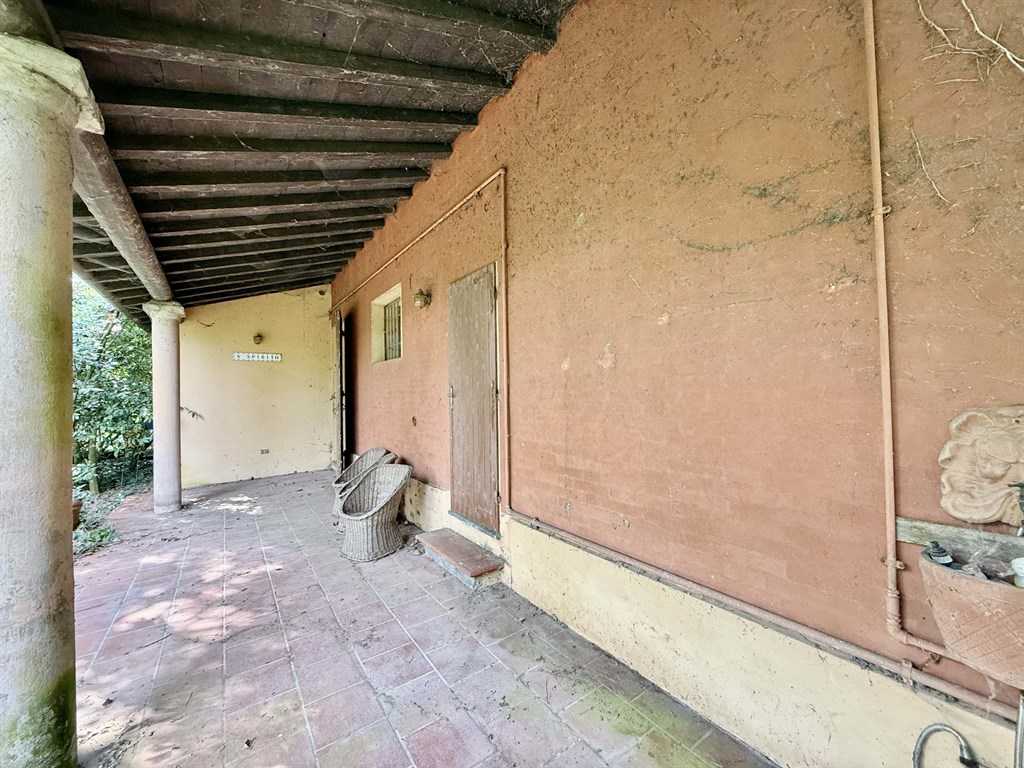  - foto 6