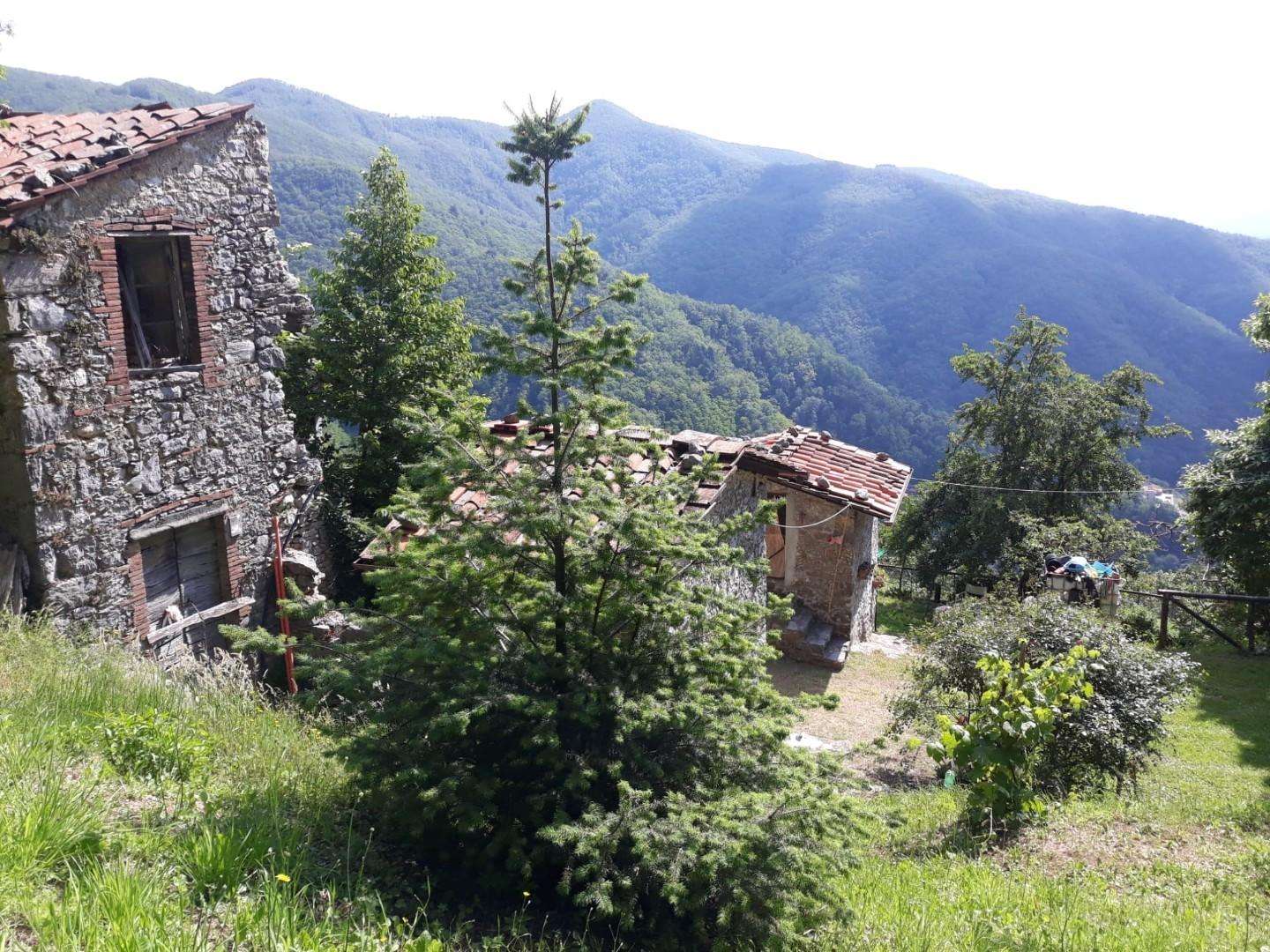  - foto 4