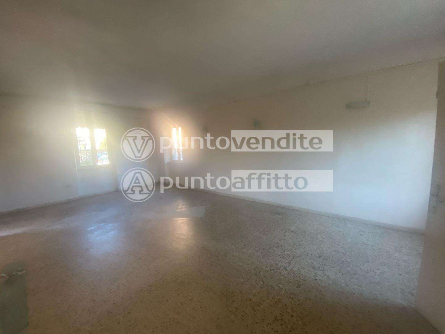  - foto 11