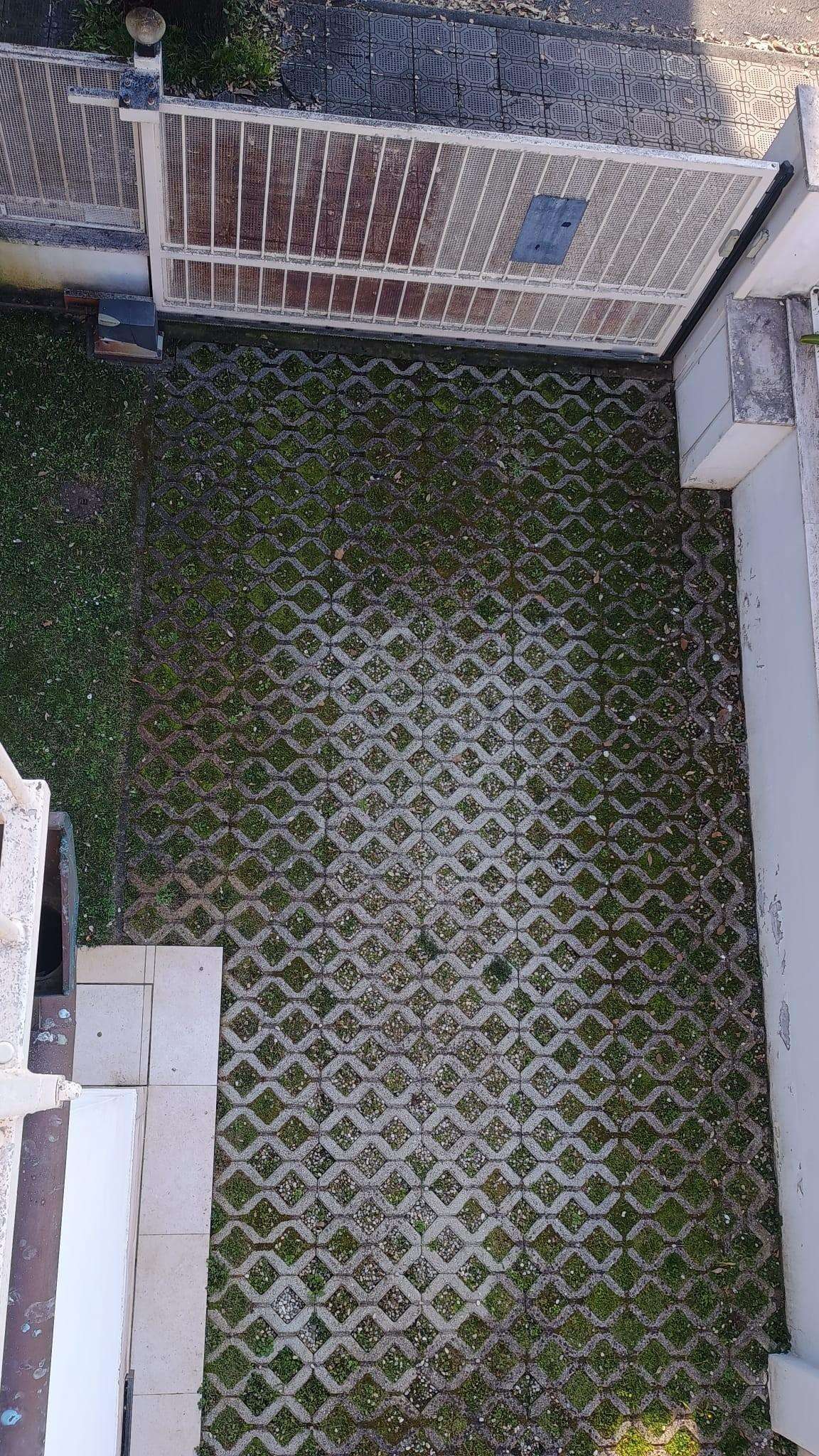  - foto 62