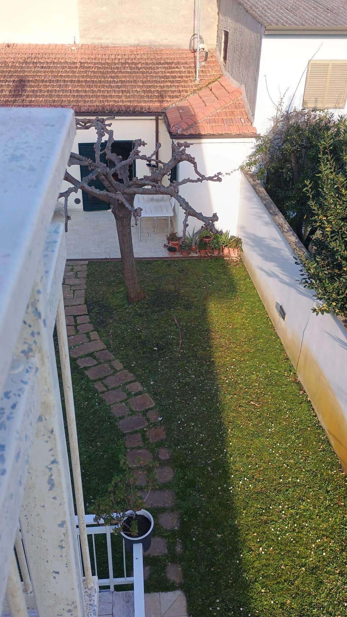  - foto 66
