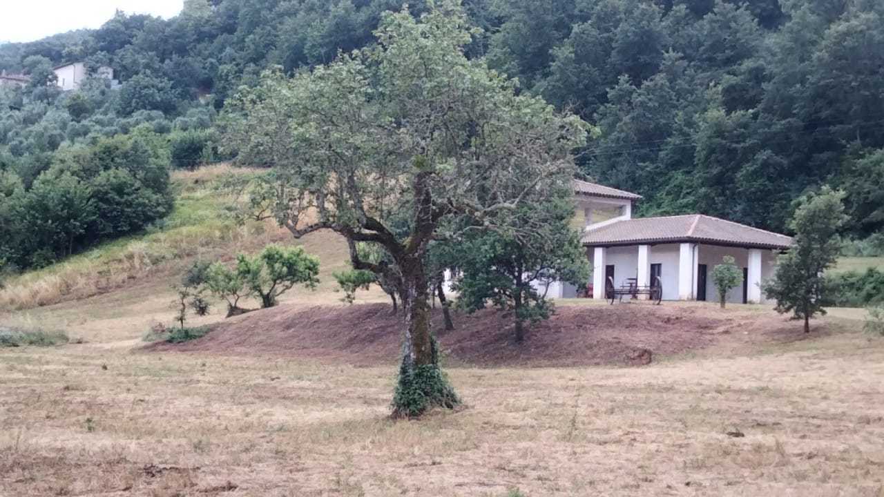  - foto 7