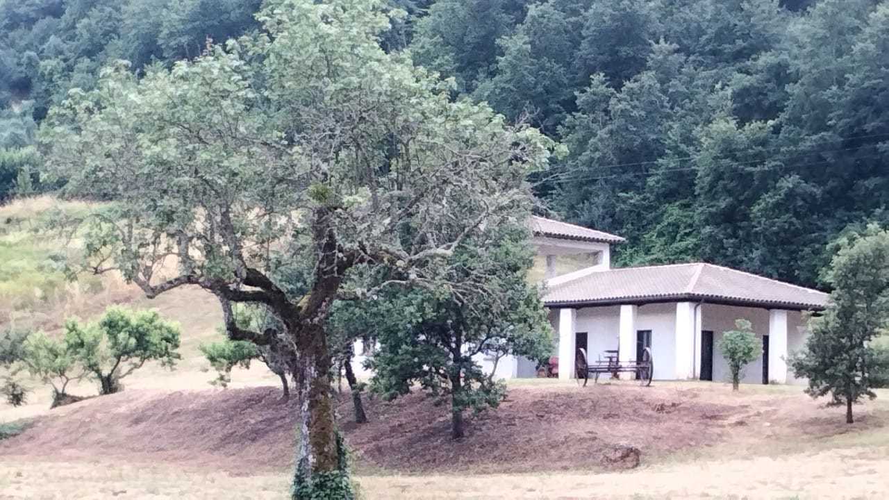  - foto 8
