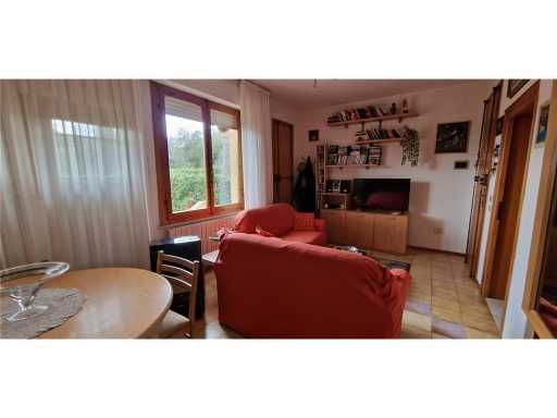 - foto 29