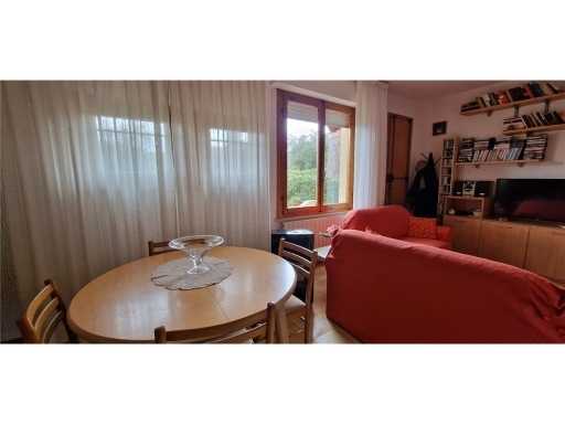  - foto 32