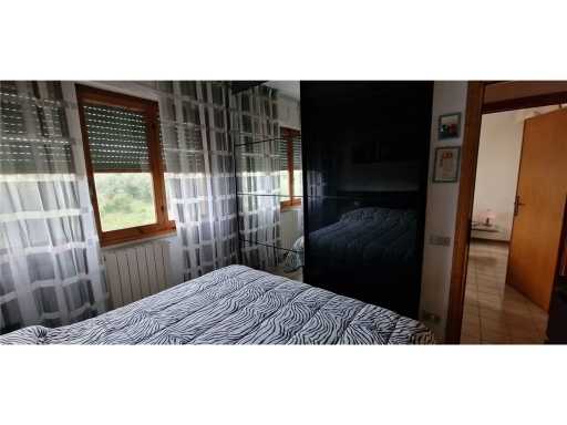  - foto 85