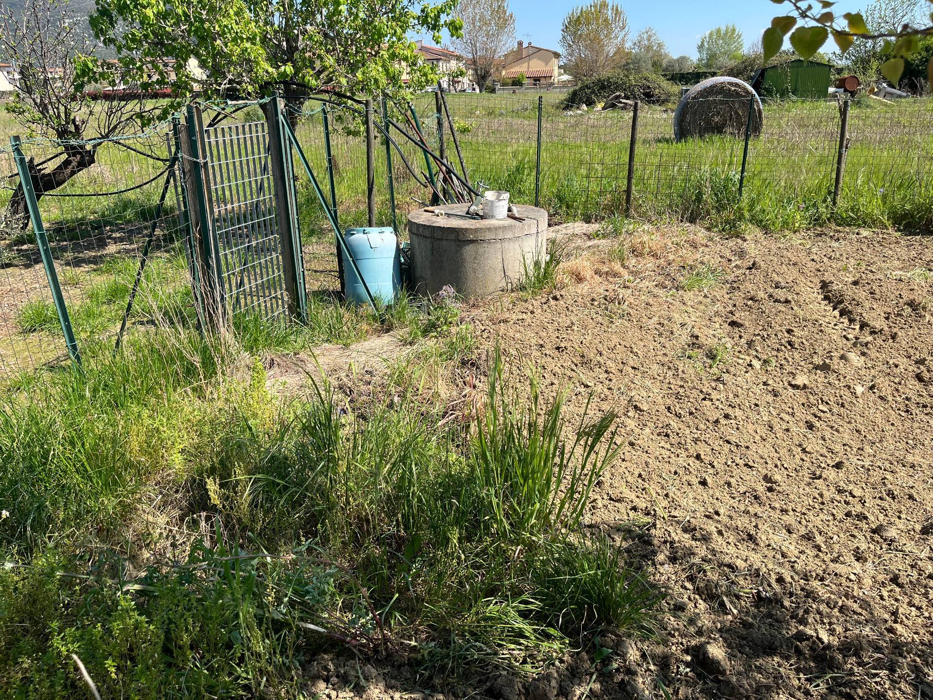 immagine annuncio 3 di 4