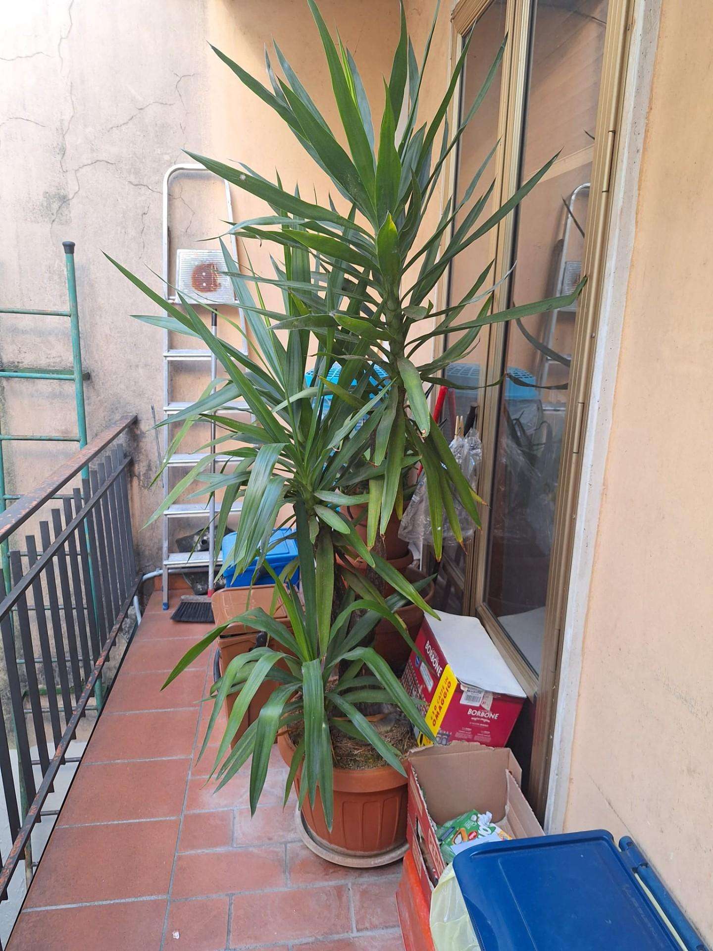  - foto 16