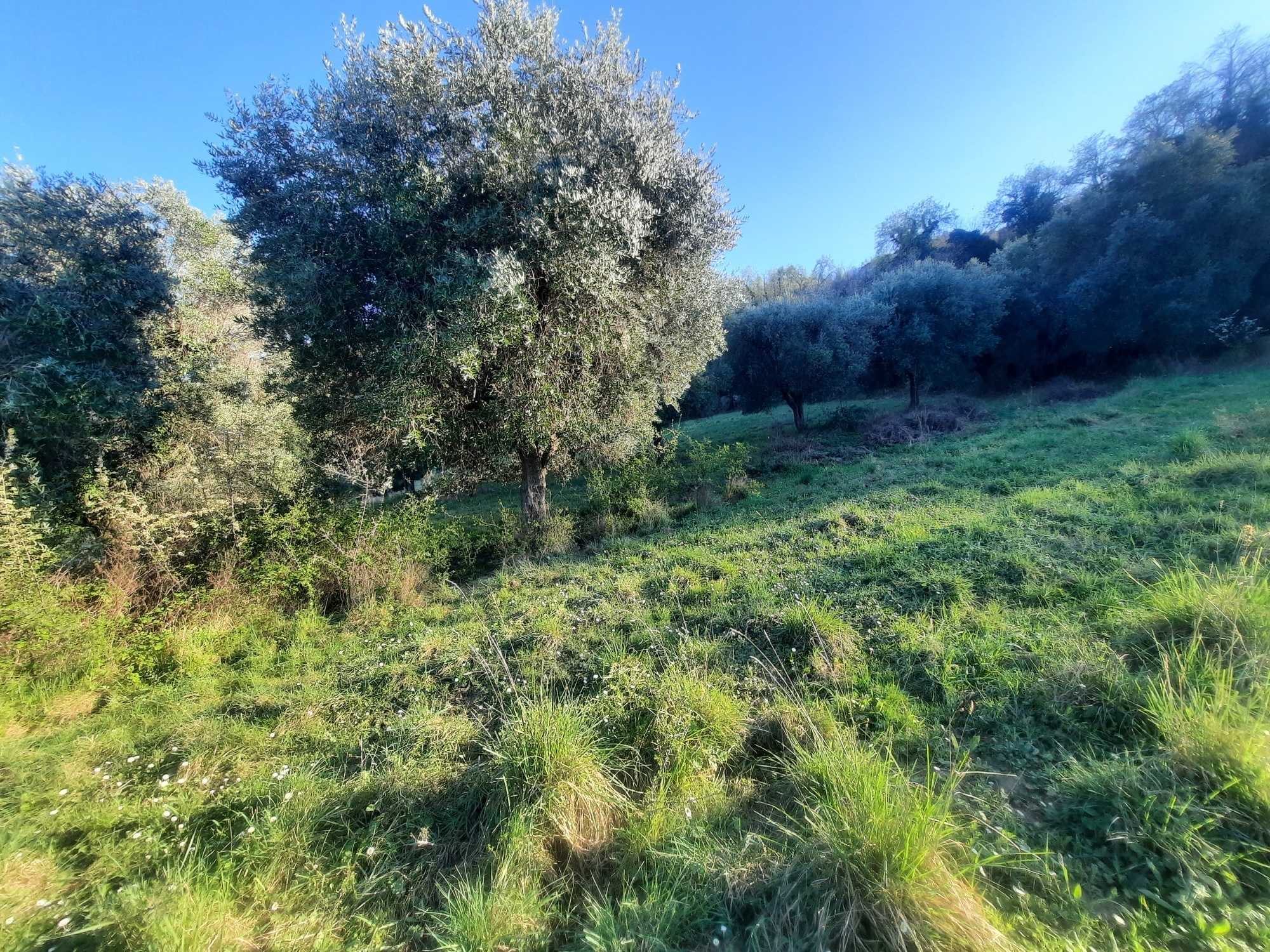  - foto 15