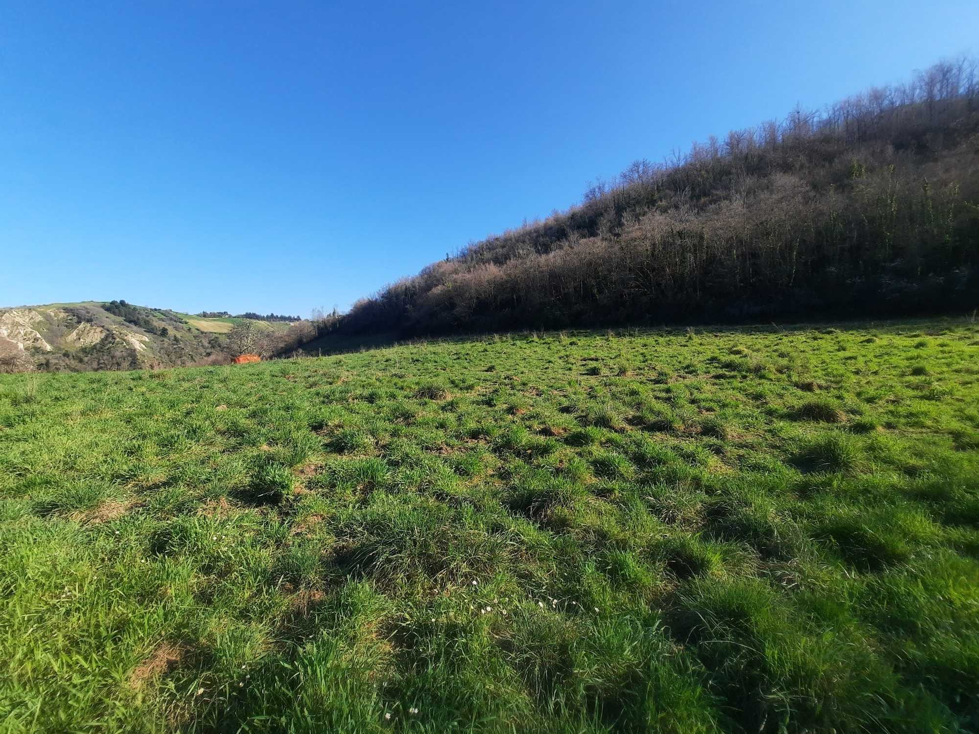  - foto 9