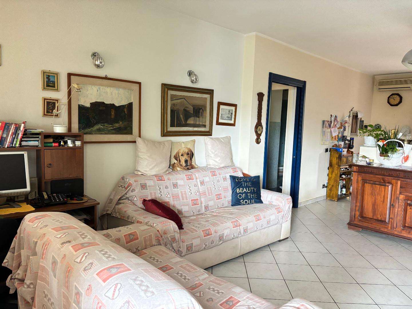 immagine annuncio 6 di 14