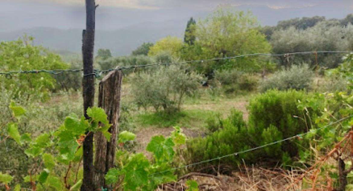 immagine annuncio 2 di 9