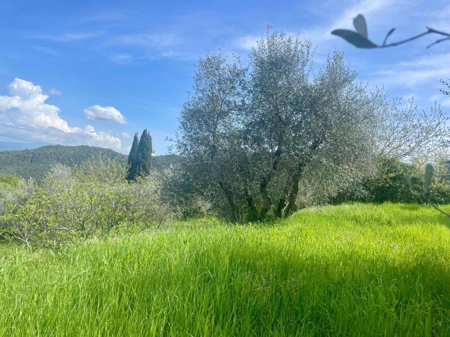 immagine annuncio 5 di 9