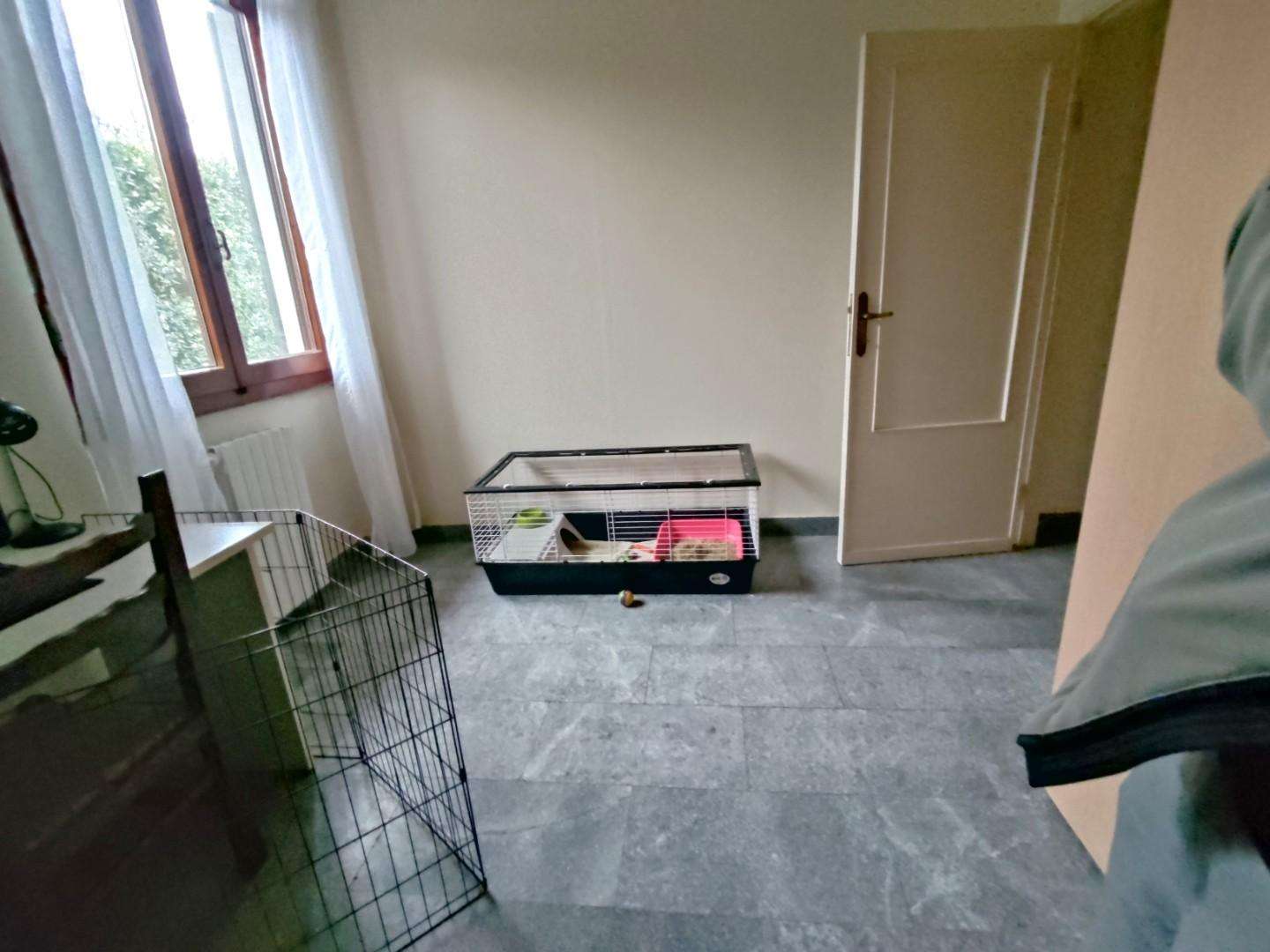  - foto 11