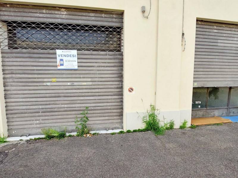 immagine annuncio 6 di 10