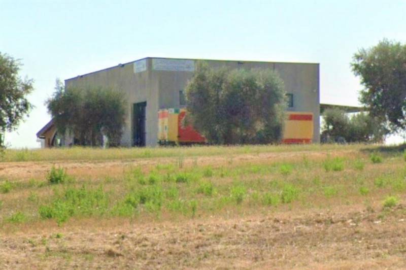 immagine annuncio 3 di 10