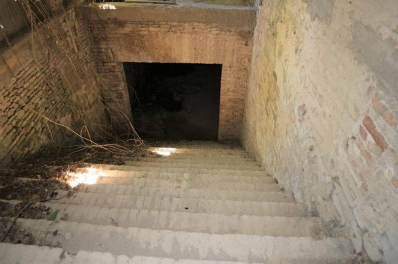 immagine annuncio 6 di 10