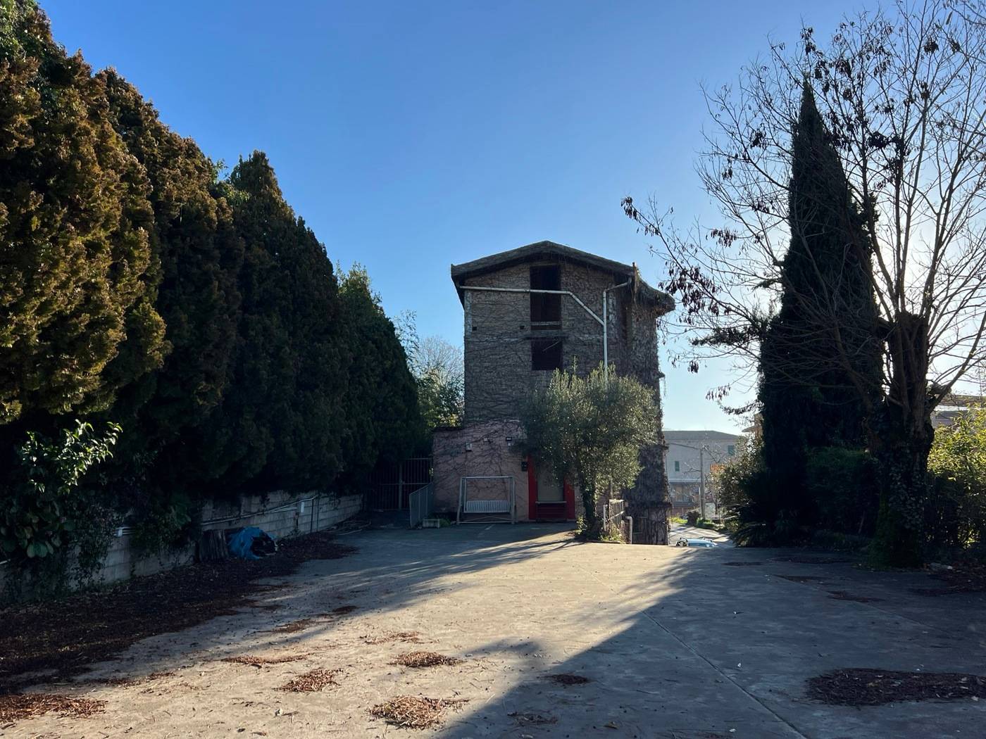 immagine annuncio 2 di 9