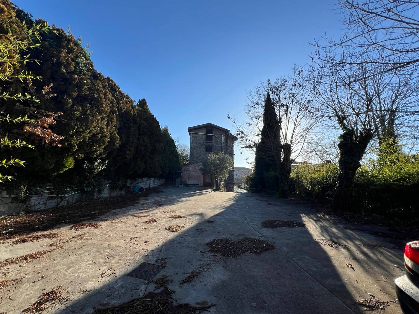 immagine annuncio 3 di 9