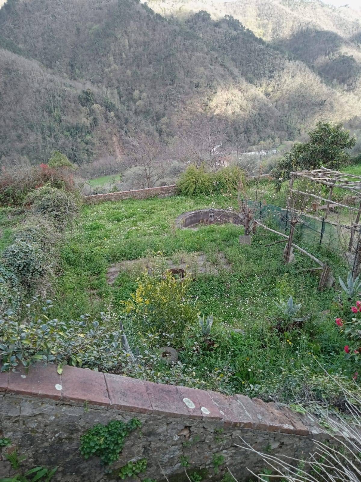  - foto 50