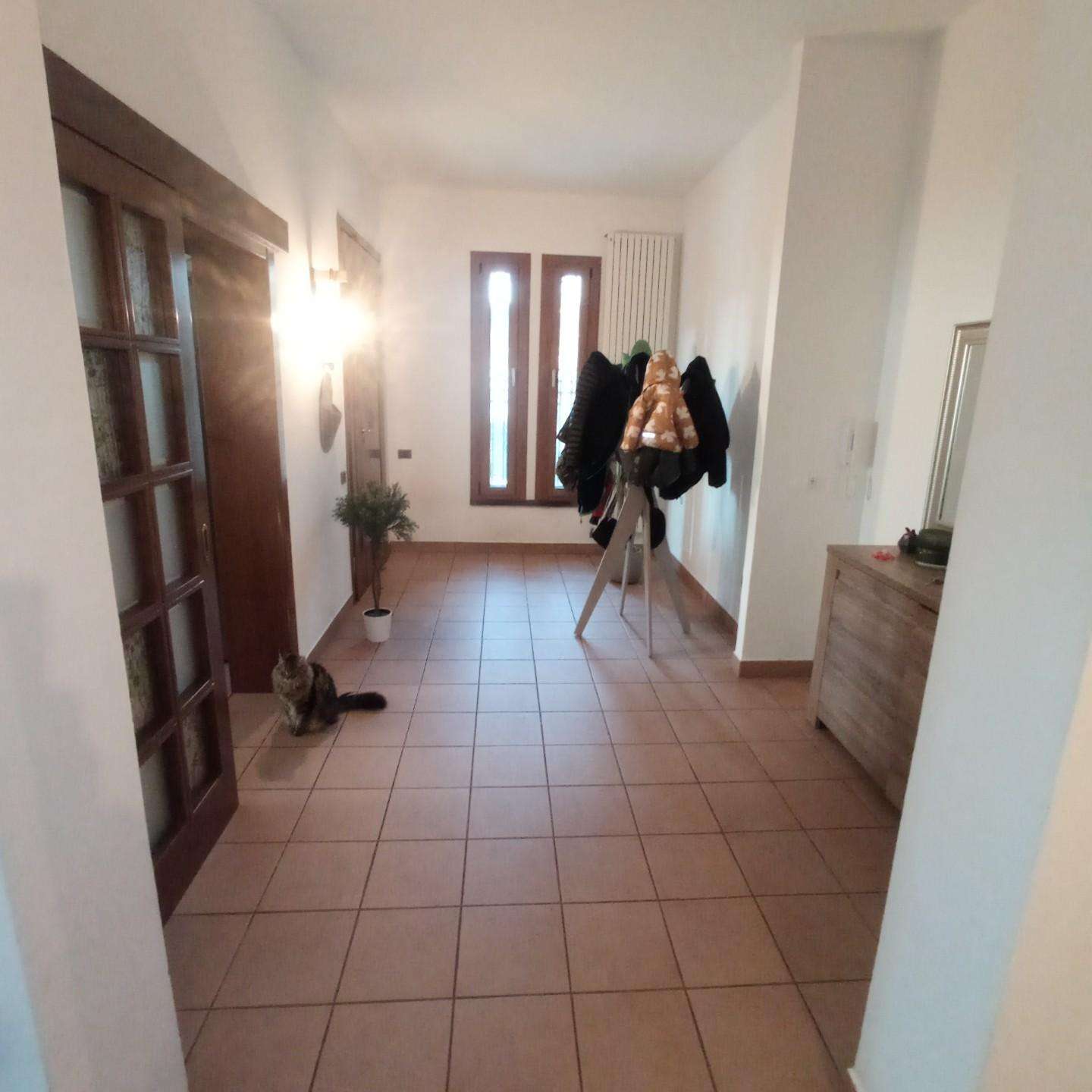  - foto 9