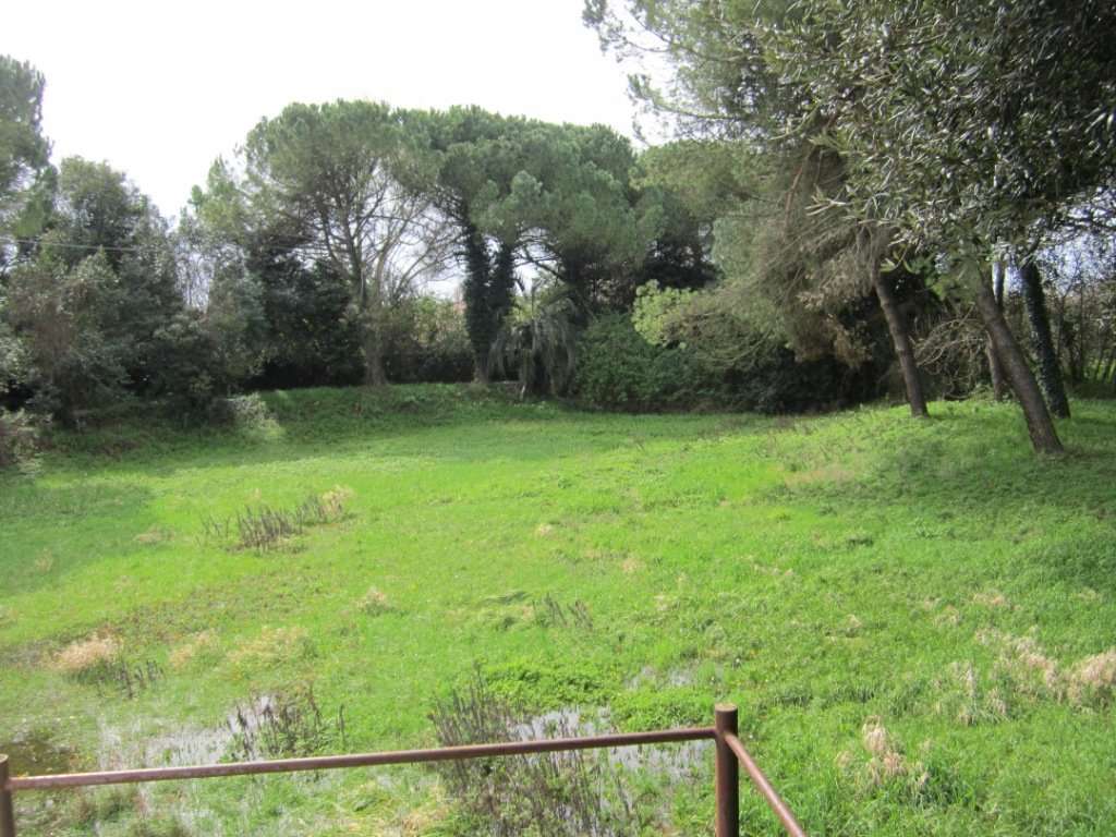 - foto 12