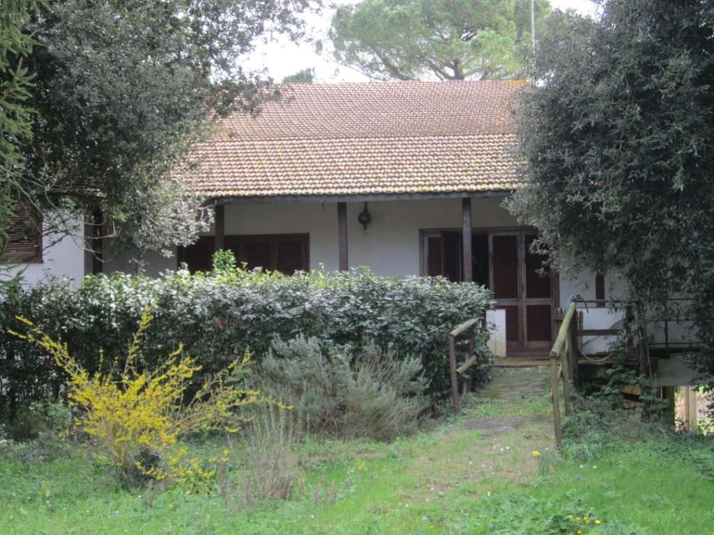  - foto 16