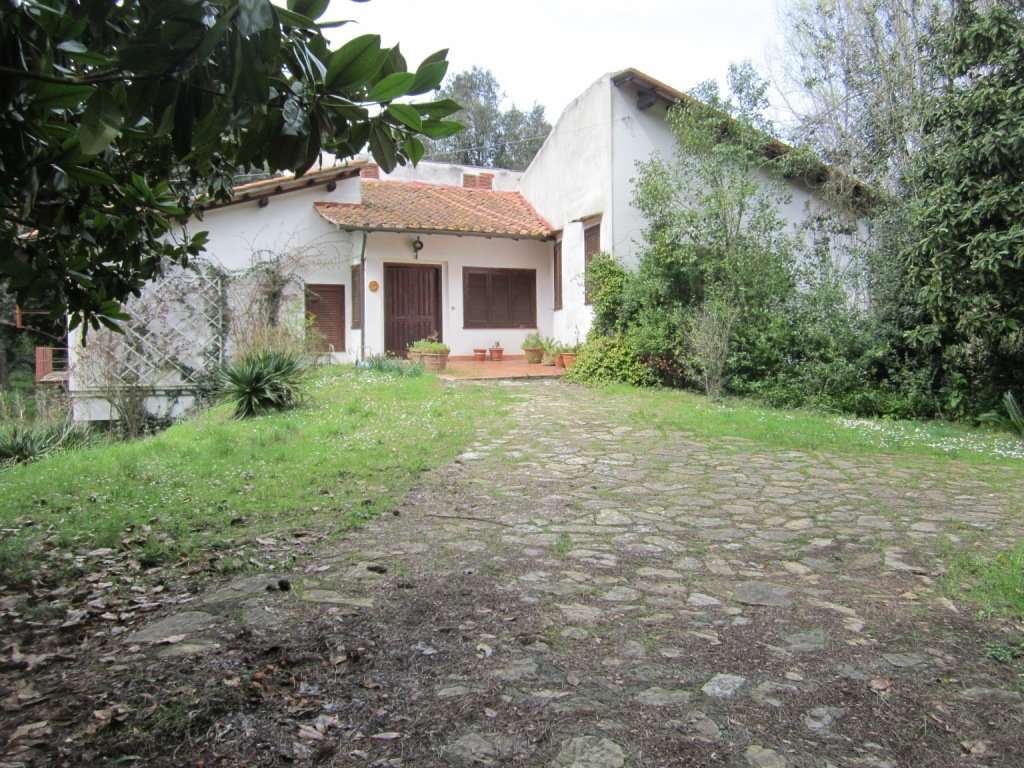  - foto 2