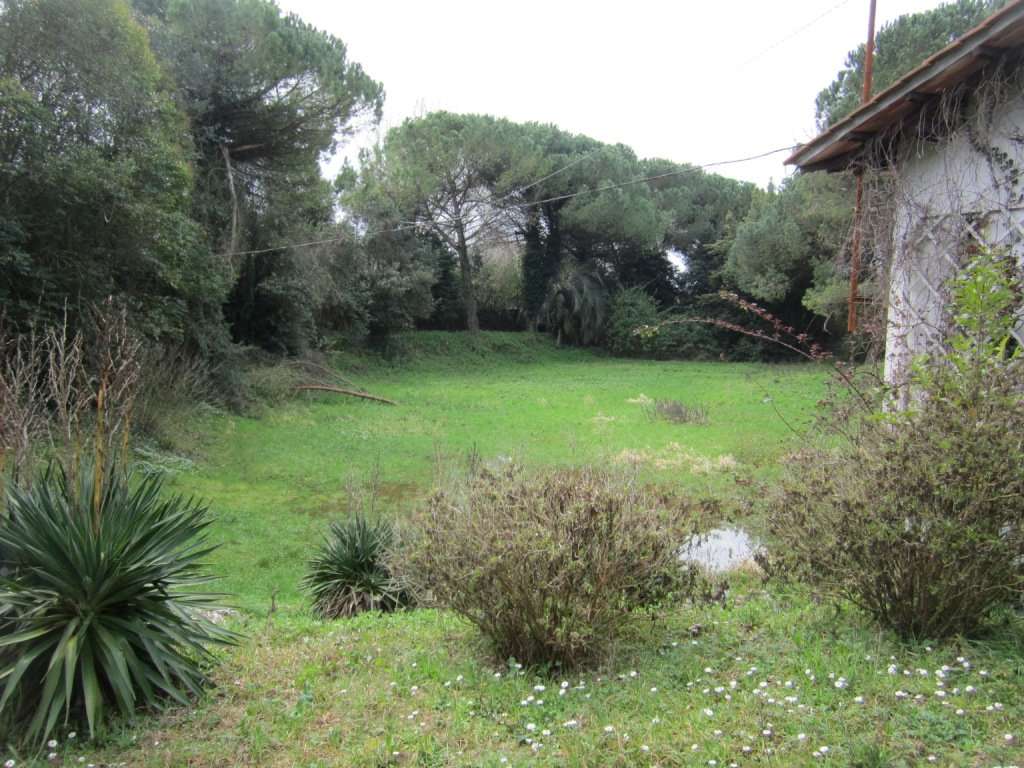  - foto 5