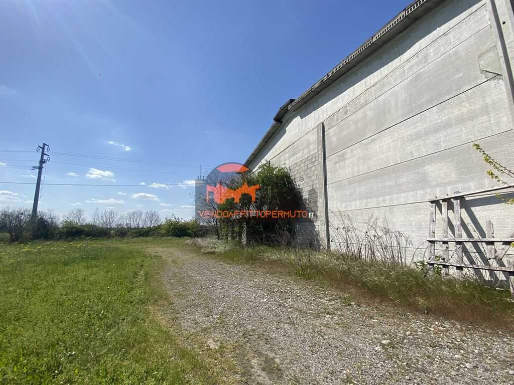  - foto 18