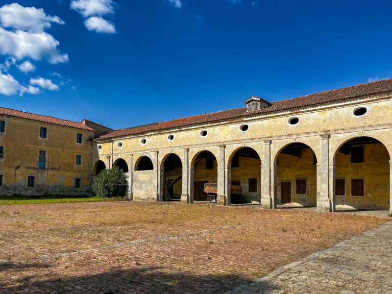 immagine annuncio 5 di 10