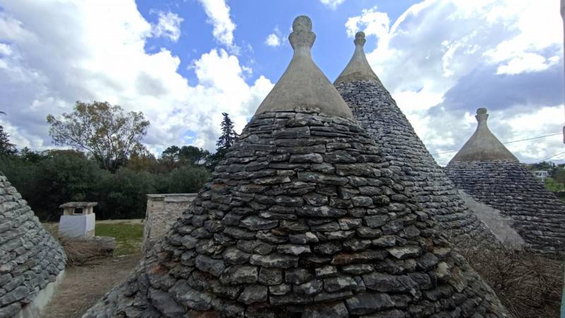 immagine annuncio 1 di 10