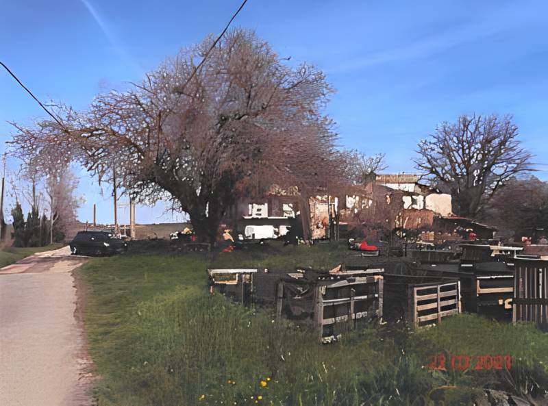 immagine annuncio 3 di 8