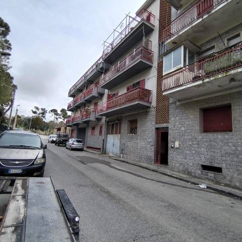 immagine annuncio 6 di 14