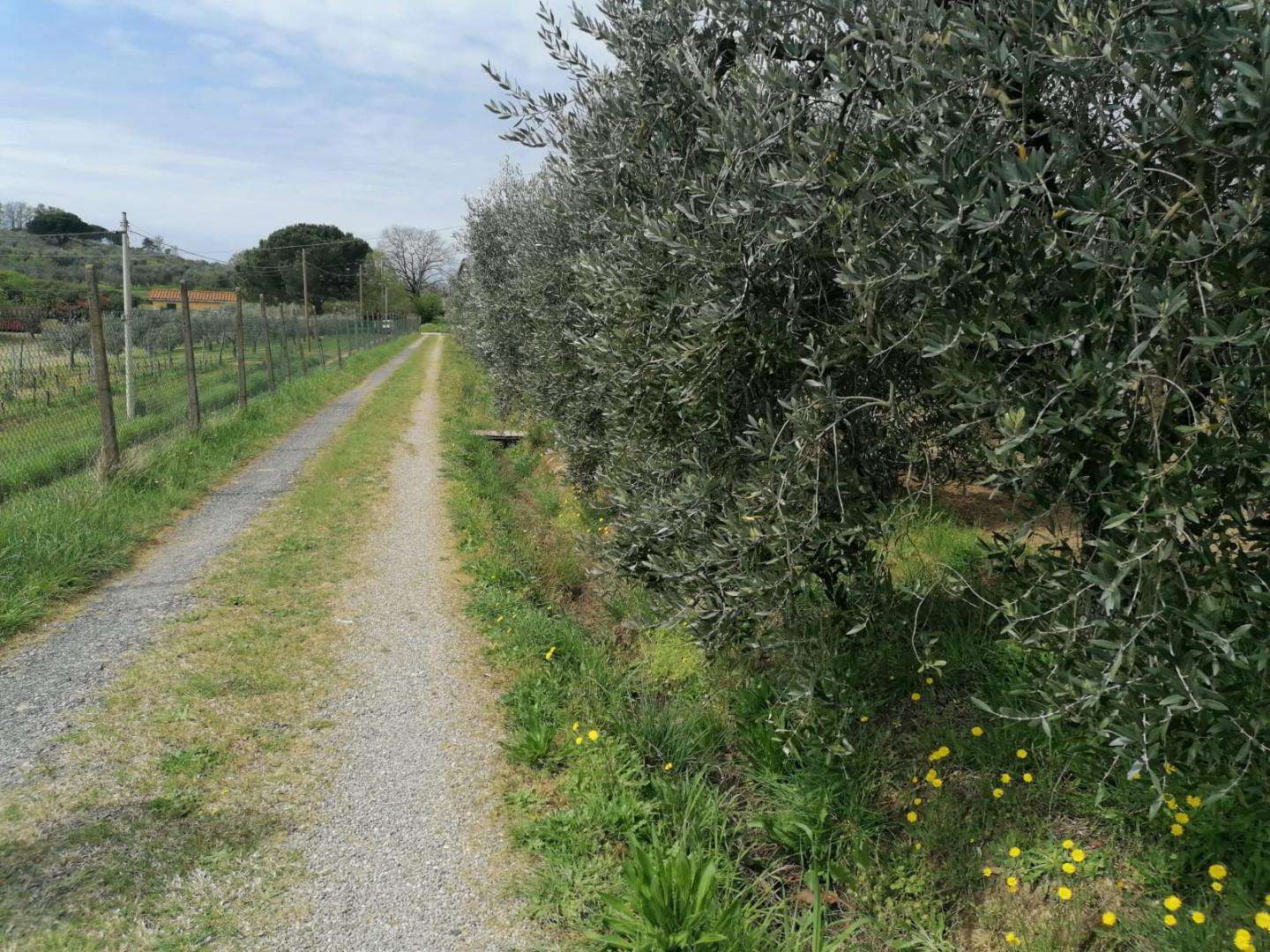 immagine annuncio 2 di 14