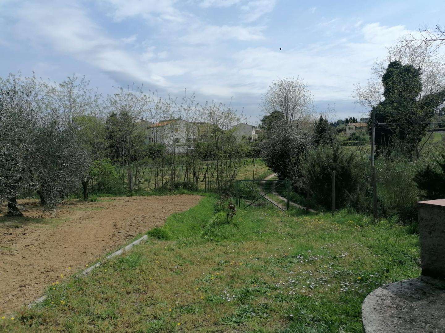 immagine annuncio 4 di 14