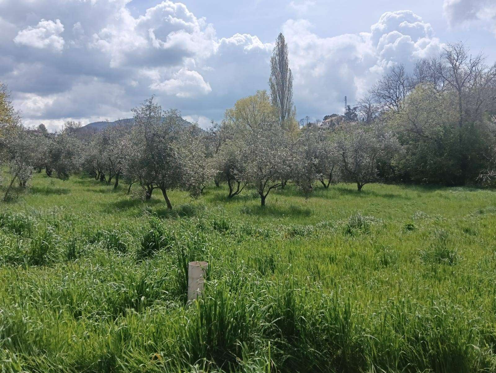  - foto 2